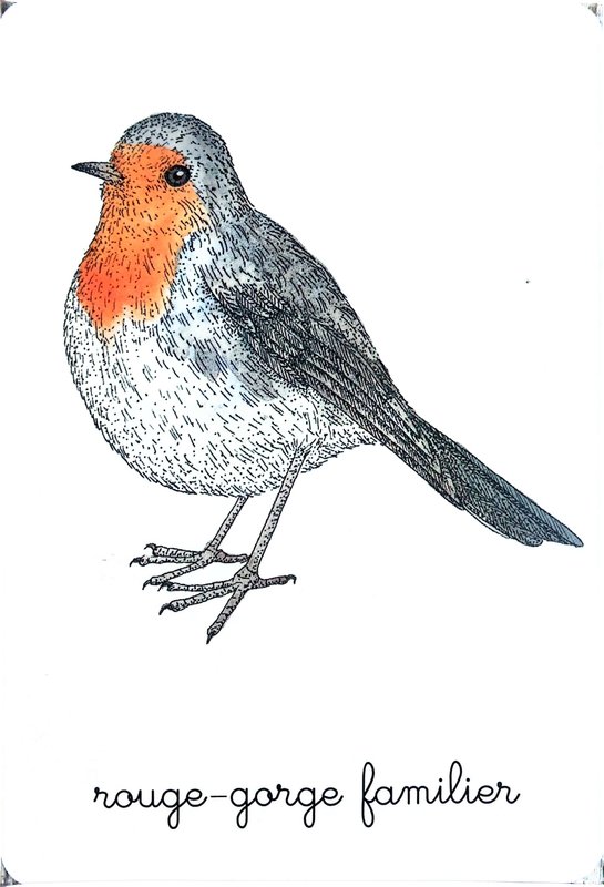 Loisirs A découverte oiseaux