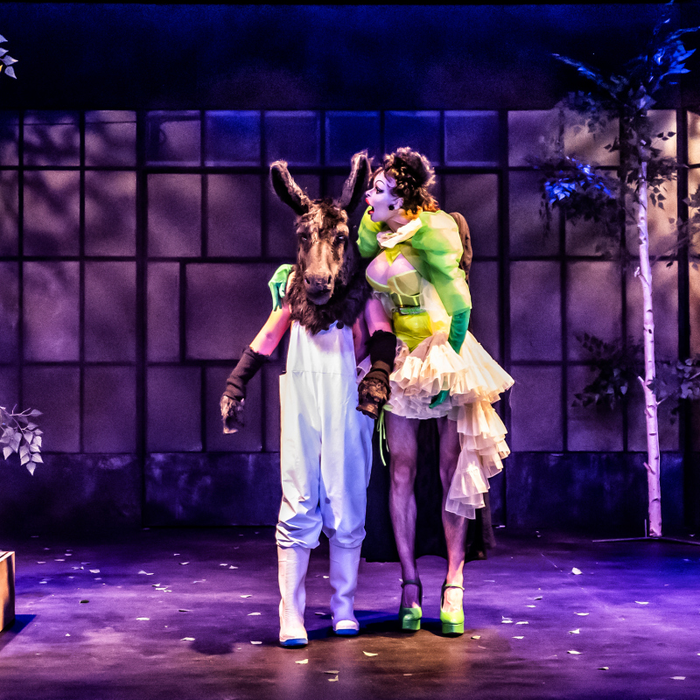 Spectacles Le Songe d’une Nuit d’été