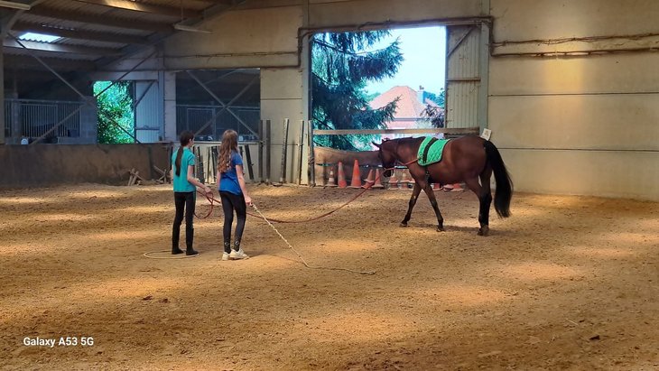 Stages,cours Cours d équitation