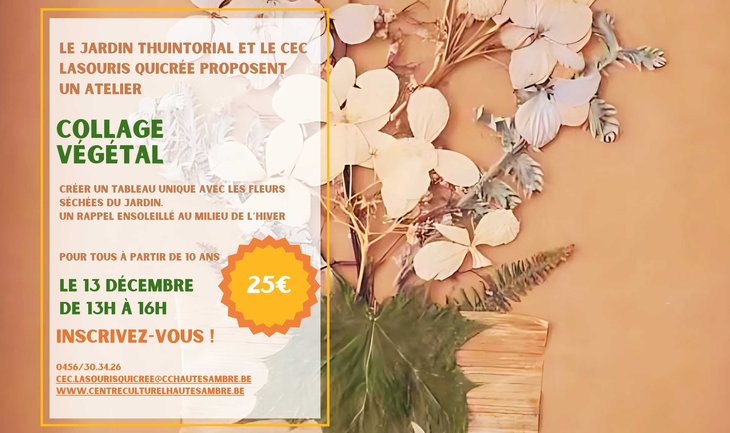 Stages,cours Atelier : Collage Végétal