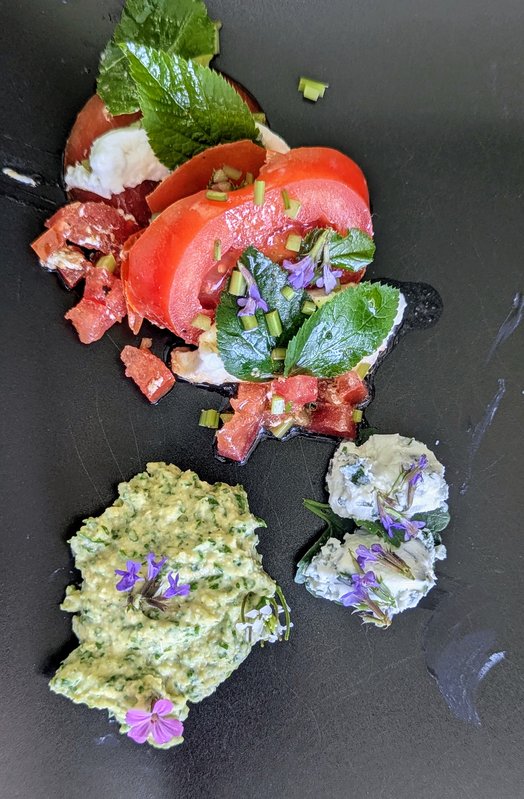 Stages,cours Balade atelier cuisine apéro sauvage »