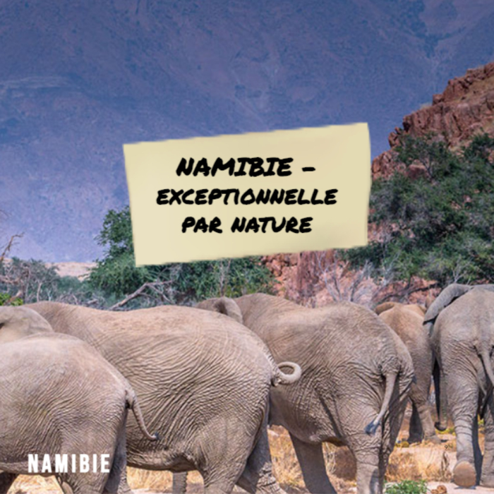 Spectacles Exploration monde Namibie, exceptionnelle nature