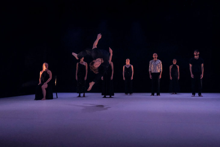 Spectacles Absurde - Danse contemporaine