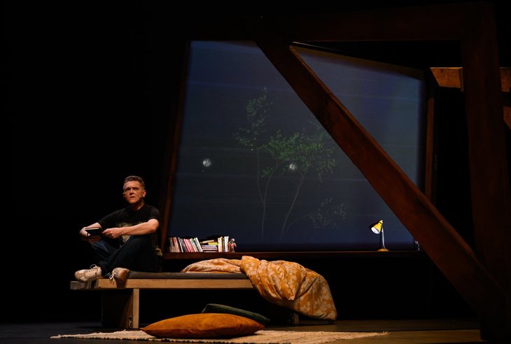 Spectacles Les Dragons