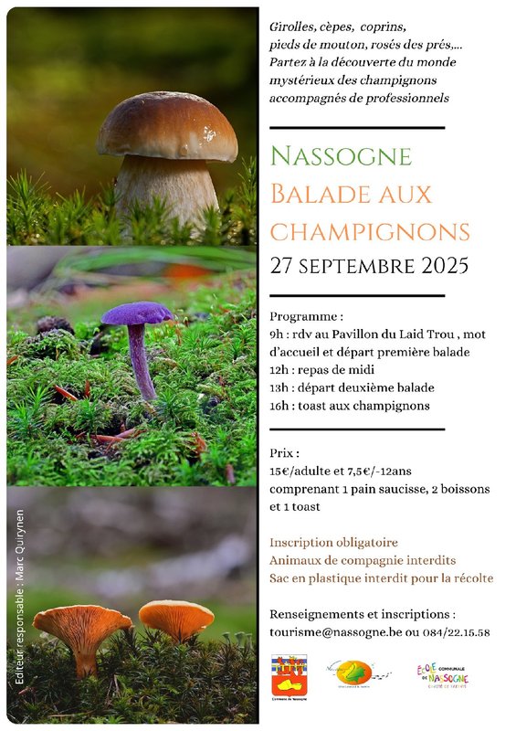 Loisirs Balade champignons