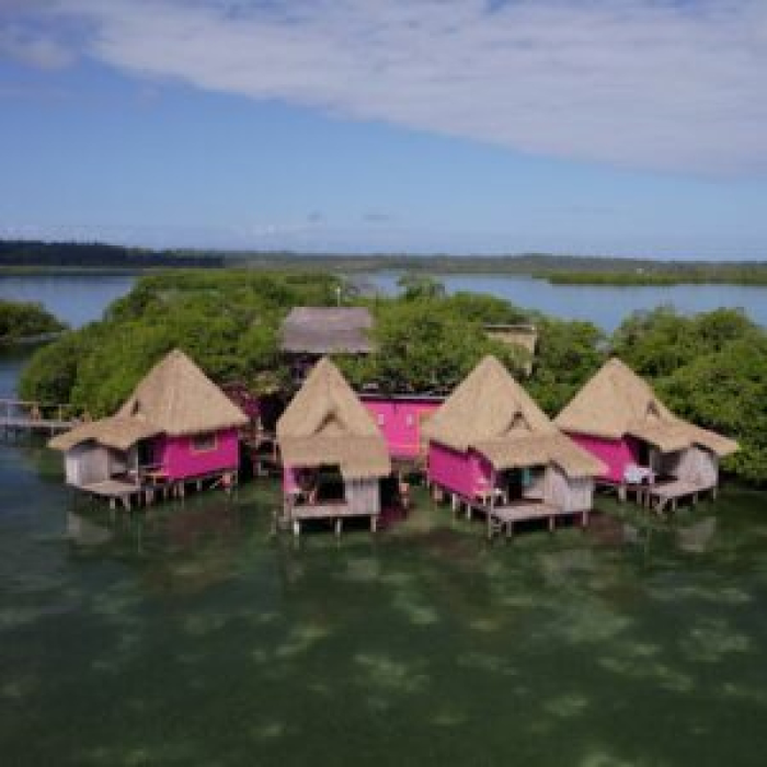 Spectacles Panama, mille un visages
