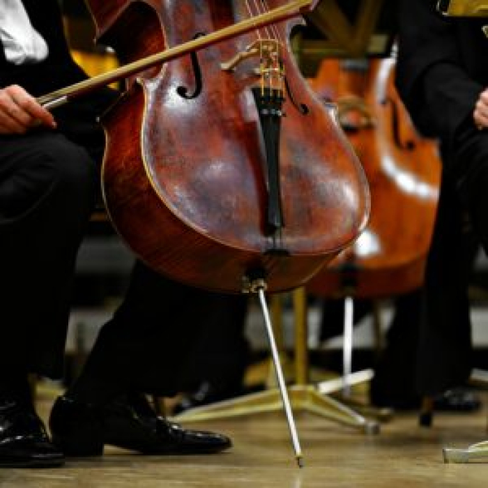 Spectacles Musique baroque Vienne à Bruxelles