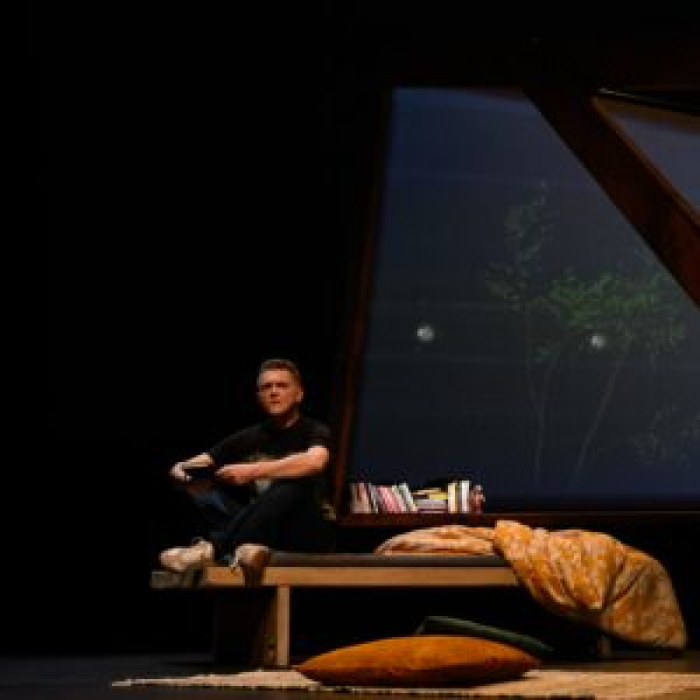 Spectacles Les Dragons