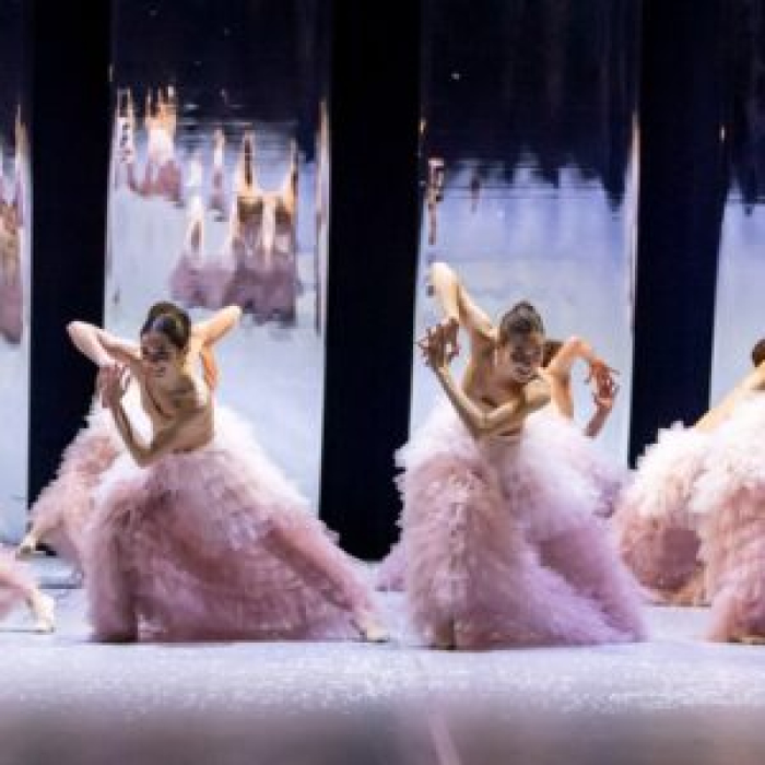 Spectacles Le des cygnes