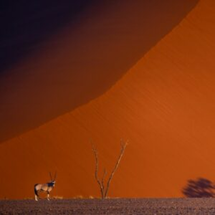 Spectacles Namibie, exceptionnelle nature