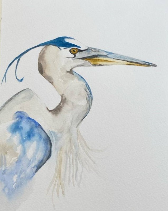 Stages,cours Atelier d aquarelle