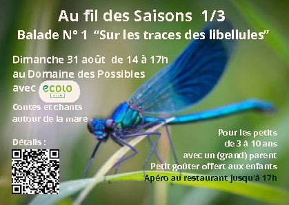 Loisirs Balade  Sur traces libellules  pour petits avec leurs grands parents
