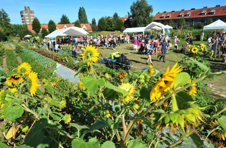 Loisirs Fête la Ferme Chant Cailles