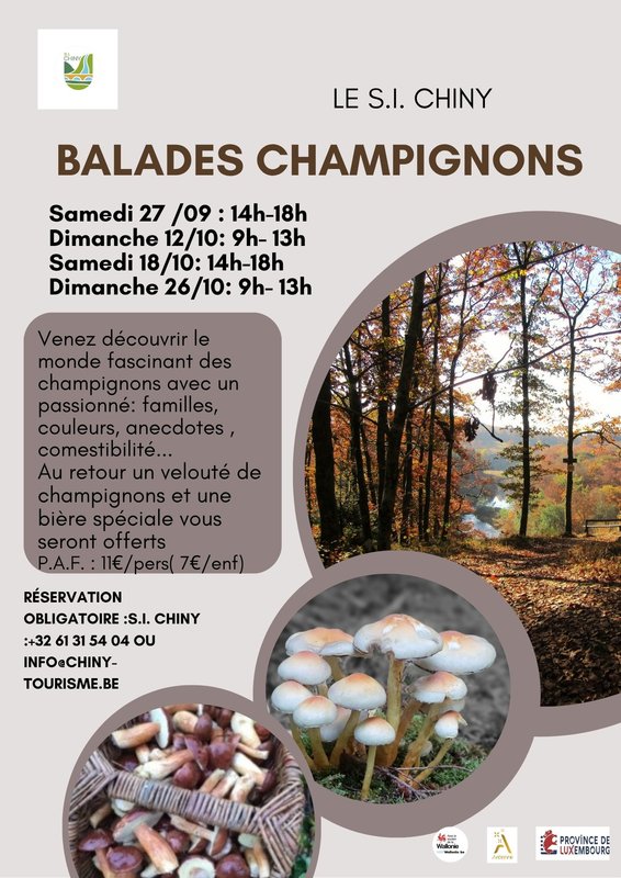 Loisirs Balade champignons