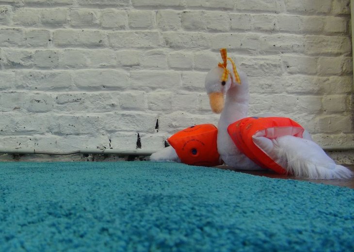 Spectacles Tu devrais peut-être aller voir quelqu un