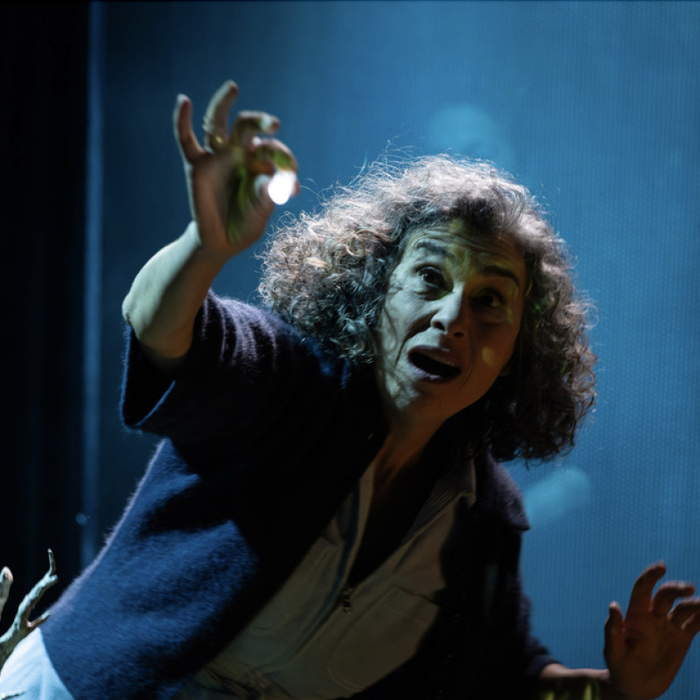 Spectacles Je voudrais mourir curiosité