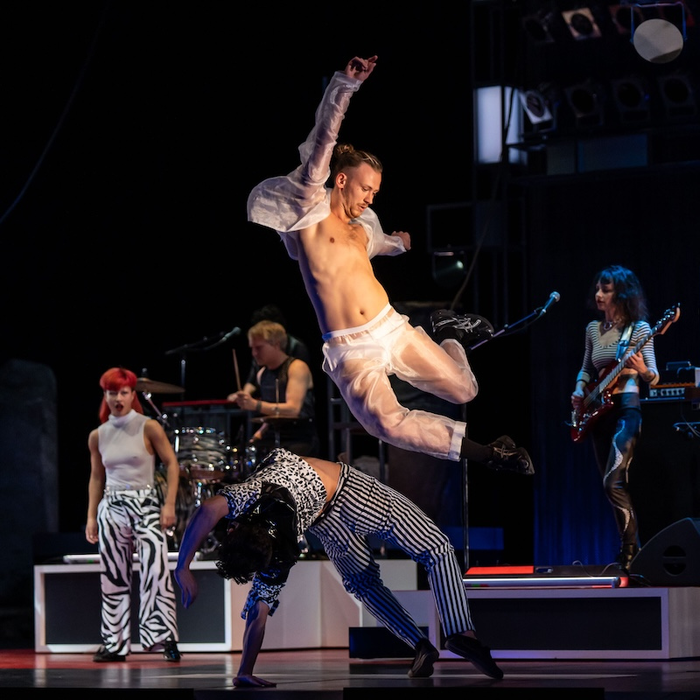 Spectacles Stéréo Dca Philippe Decouflé