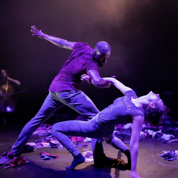 Spectacles Coquelicot