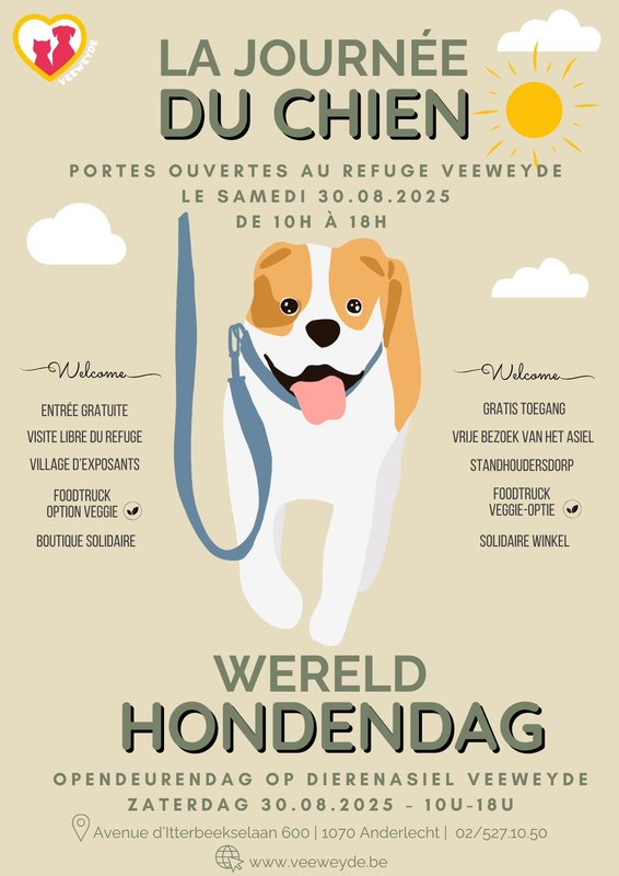 Loisirs Journée chien