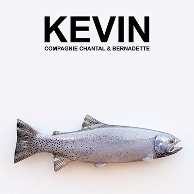 Spectacles Kevin