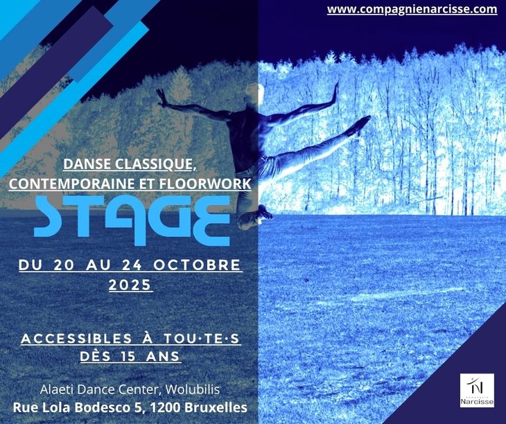 Stages,cours Stage danse classique, contemporaine floorwork