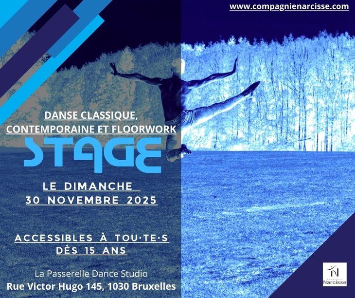 Stages,cours Stage danse classique, contemporaine floorwork