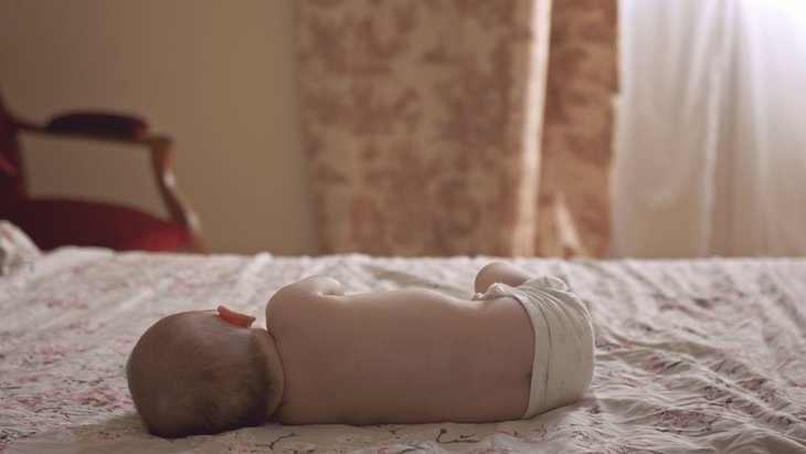 Spectacles Documentaire rêve cigognes 