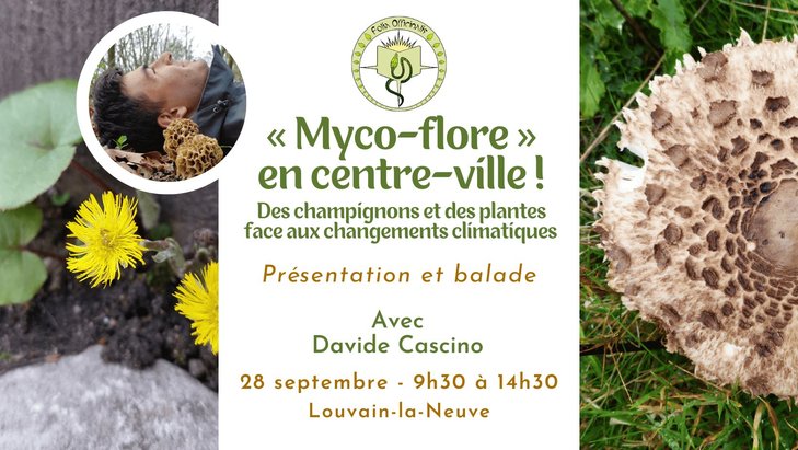 Loisirs Sortie nature - Myco-flore en centre-ville 