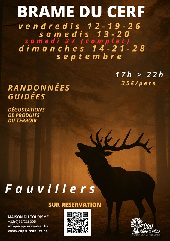 Loisirs Soirées brame cerf