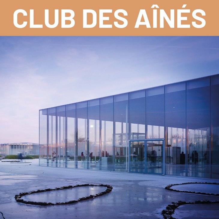 Loisirs Séjour Visite Lille + Lens (Louvre Ii)