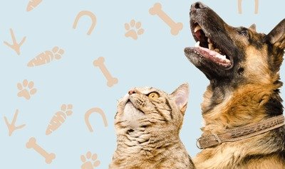Loisirs Salon Bien-Être Animal - Première édition