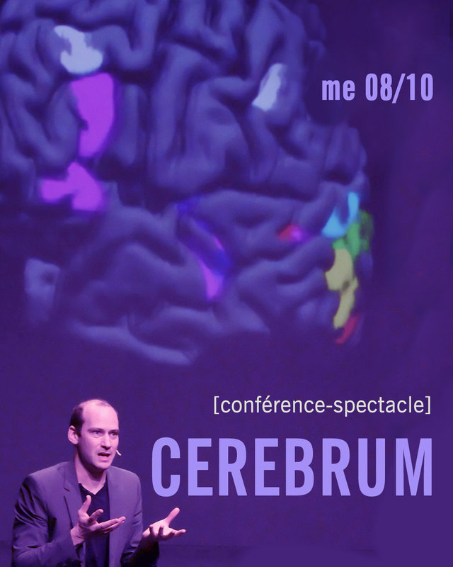 Spectacles Cerebrum