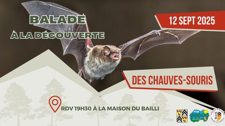 Loisirs Balade la découverte chauves-souris