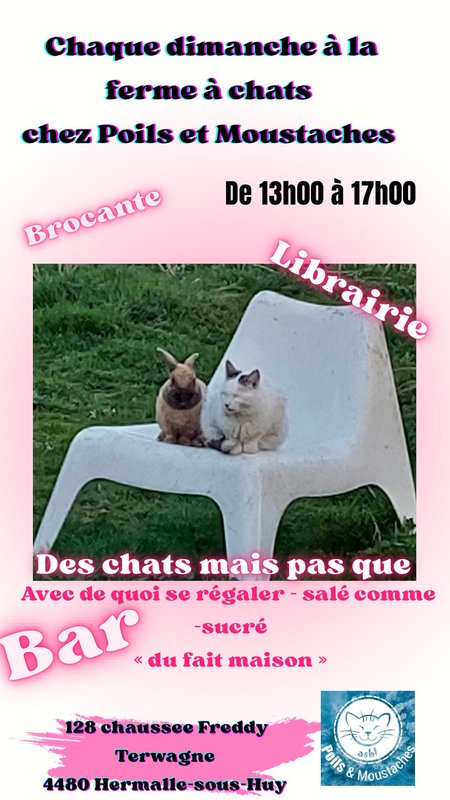  Chaque dimanche la ferme Poils Moustaches