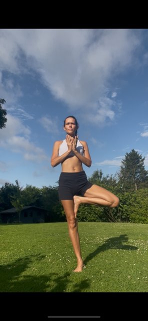 Stages,cours Cours Yin Yoga de Viniyoga