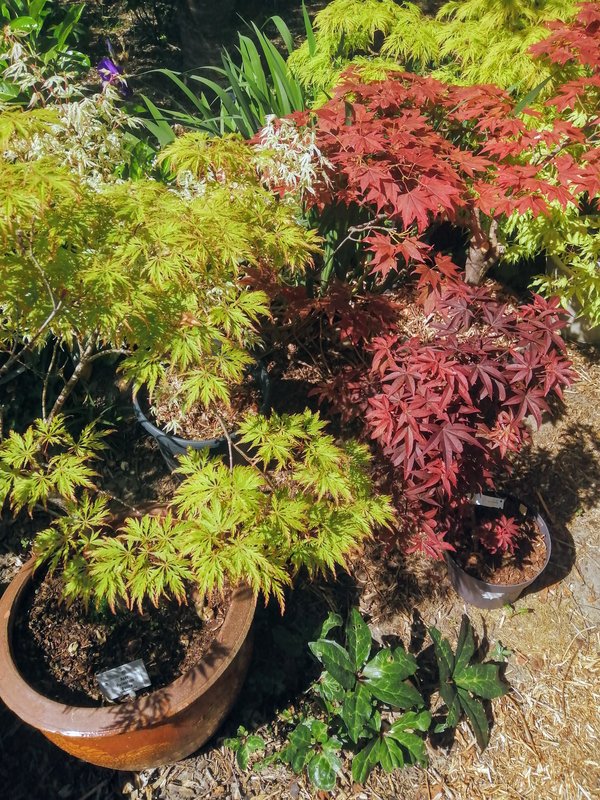 Loisirs Jardin découvrir