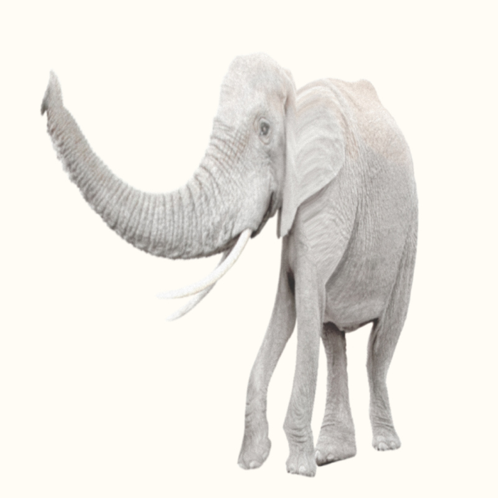 Spectacles Fanto & Lou