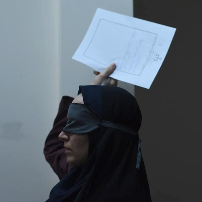 Spectacles The Seed The Sacred Fig