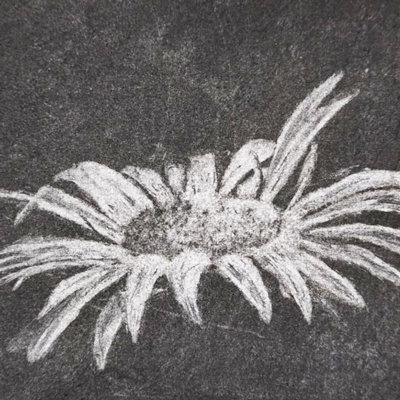 Stages,cours Atelier - Clair-obscur, approche décalée fusain