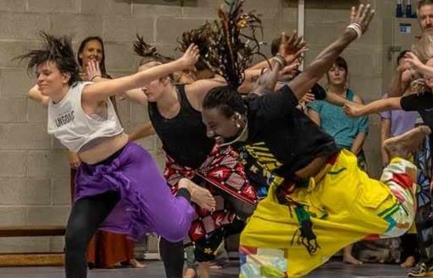 Stages,cours Cours danses Guinée du Mali