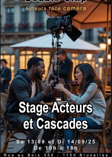 Stages,cours Stage Acteurs Cascades cinéma