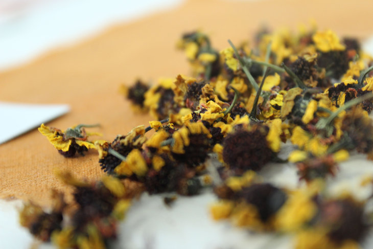 Stages,cours Cours création textile teinture vegetale