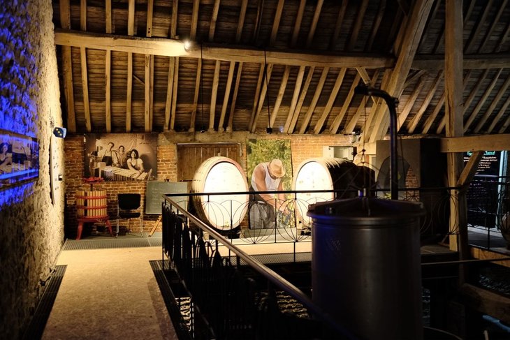 Loisirs Balade bucolique cœur Château Bioul & son vignoble