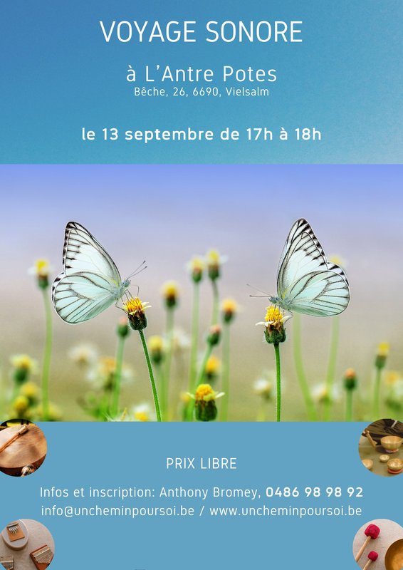 Concerts Voyage sonore