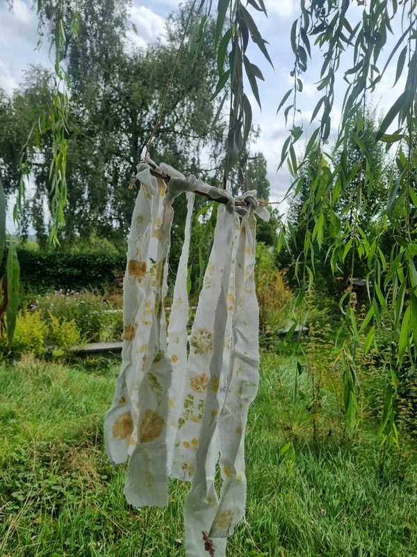 Stages,cours Atelier Jardins  Couleurs Nature  (Impressions végétales tissus)