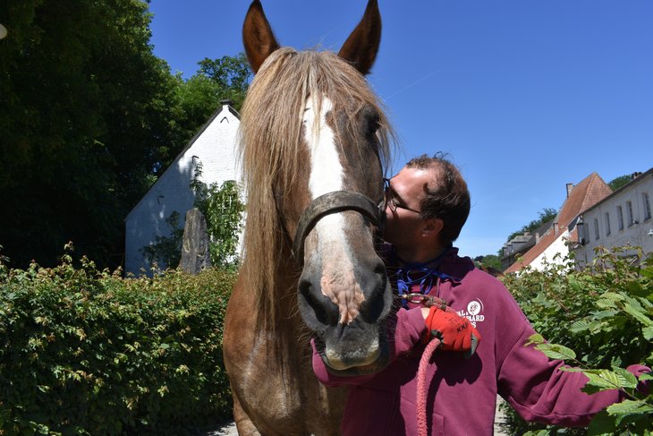 Loisirs Cheval Forêt fête 25 