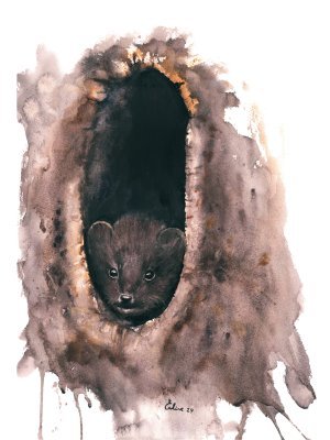 Stages,cours Initiation l’aquarelle avec Elise Pire