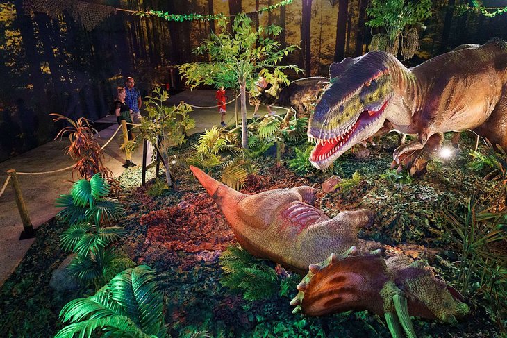 Excursions, séjours Expo Dino World