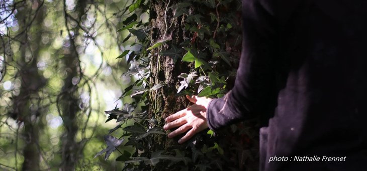 Stages,cours Rêveries Botaniques : Bain Forêt, Gong Poésie Fil Saisons