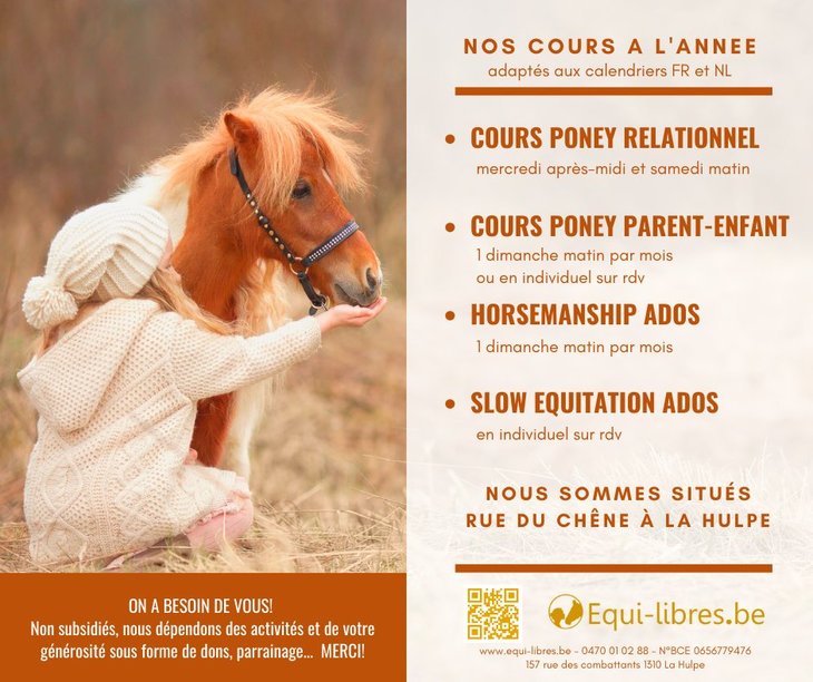 Stages,cours Cours poney relationnel